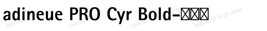 adineue PRO Cyr Bold字体转换